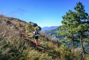 BIB: 
                            <button type="button" onclick="openModal(26599192)" class="btn btn-primary btn-sm float-right btn-popup" data-toggle="modal" data-target=".modal-high-quality">
                        <i class="fas fa-shopping-cart"></i> Add to Cart
                    </button>
                                            <button type="button" onclick="isThisMe(26599192, true)" class="btn btn-success btn-sm float-right btn-popup btn-isme hidden" data-toggle="tooltip" data-placement="bottom" title="นี่คือรูปของคุณใช่ไหม คลิกที่นี่เพื่อเอาเข้าอัลบั้ม">
                        <i class="fas fa-plus"></i> Add to album
                    </button>
                    <button type="button" onclick="isThisMe(26599192, false)" class="btn btn-warning btn-sm float-right btn-popup btn-isnotme hidden">
                        <i class="fas fa-ban"></i> Remove from album
                    </button>